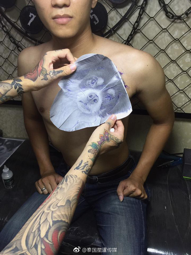 泰国男子和女友分手后 将胸口女友头像纹身改成狗
